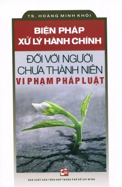 Biện Pháp Xử Lý Hành Chính Đối Với Người Chưa Thành Niên Vi Phạm Pháp Luật